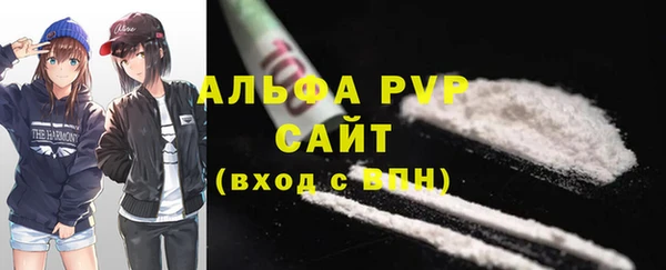 СК Елабуга