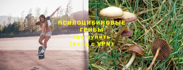 прущие крисы Абаза