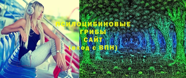 PSILOCYBIN Абинск