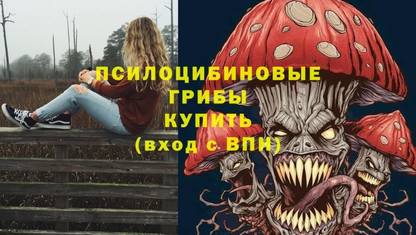 PSILOCYBIN Абинск