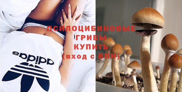 PSILOCYBIN Абинск