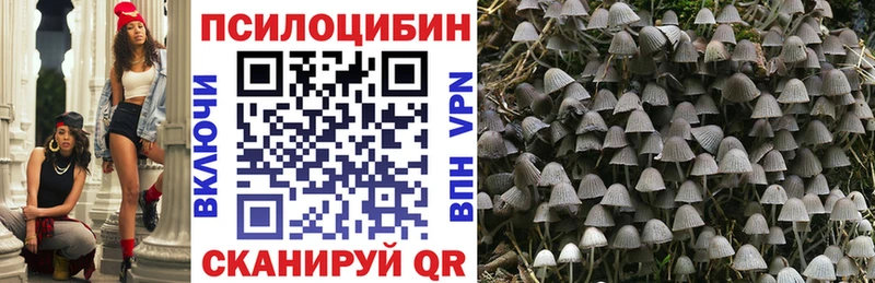 blacksprut зеркало  Темников  Псилоцибиновые грибы прущие грибы 
